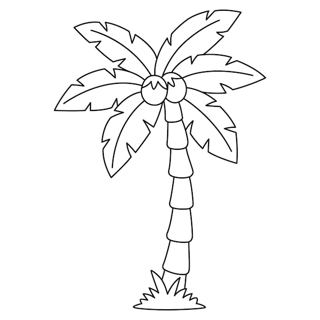 Premium vector a cute and funny coloring page of a coconut tree provides hours of coloring fun for children color this page is very easy suitable for little kids and toddlers