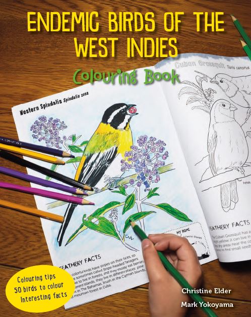 Caribbean birds colouring book
