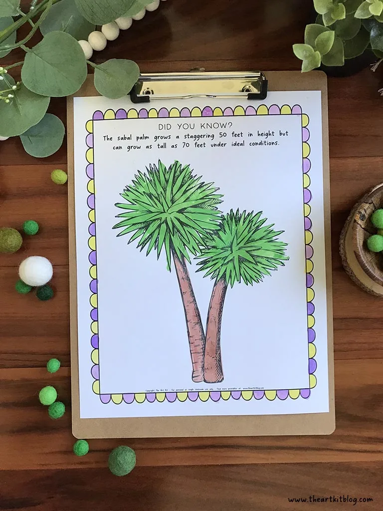 Sabal palm coloring page free printable â the art kit