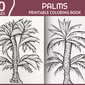 Palm tree colouring