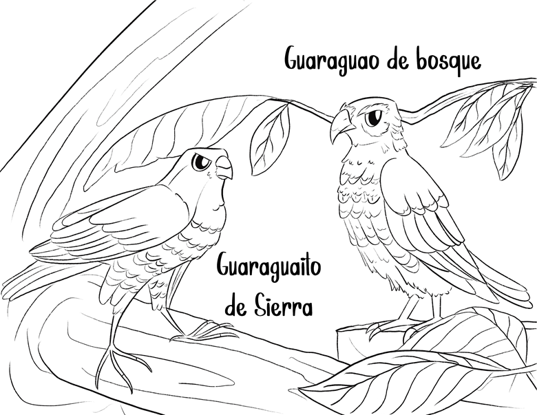 Animals of puerto rico coloring book