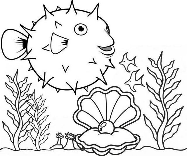 Fourteen cute puffer fish coloring pages for children fish coloring page animal coloring pages fish cartoon drawing