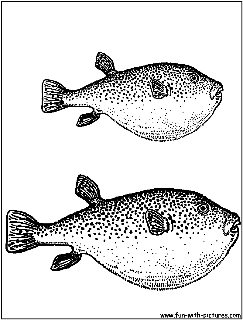 Fish coloring pages