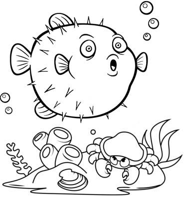 Fourteen cute puffer fish coloring pages for children fish coloring page animal coloring pages coloring pages