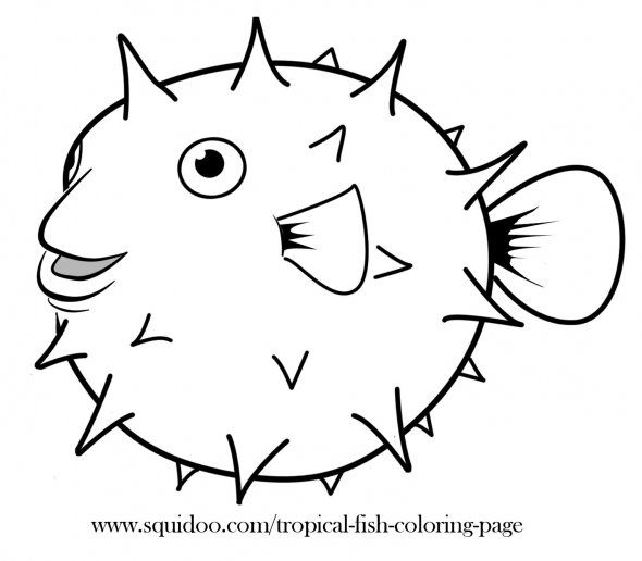 Puffer fish coloring page fish coloring page sea animals drawings ocean coloring pages