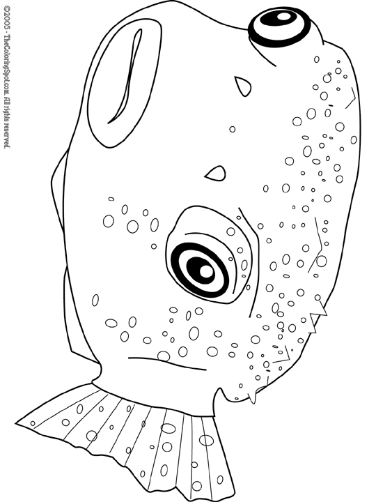 Pufferfish coloring page audio stories for kids free coloring pages colouring printables