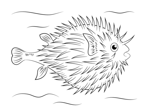 Puffer fish coloring page free printable coloring pages