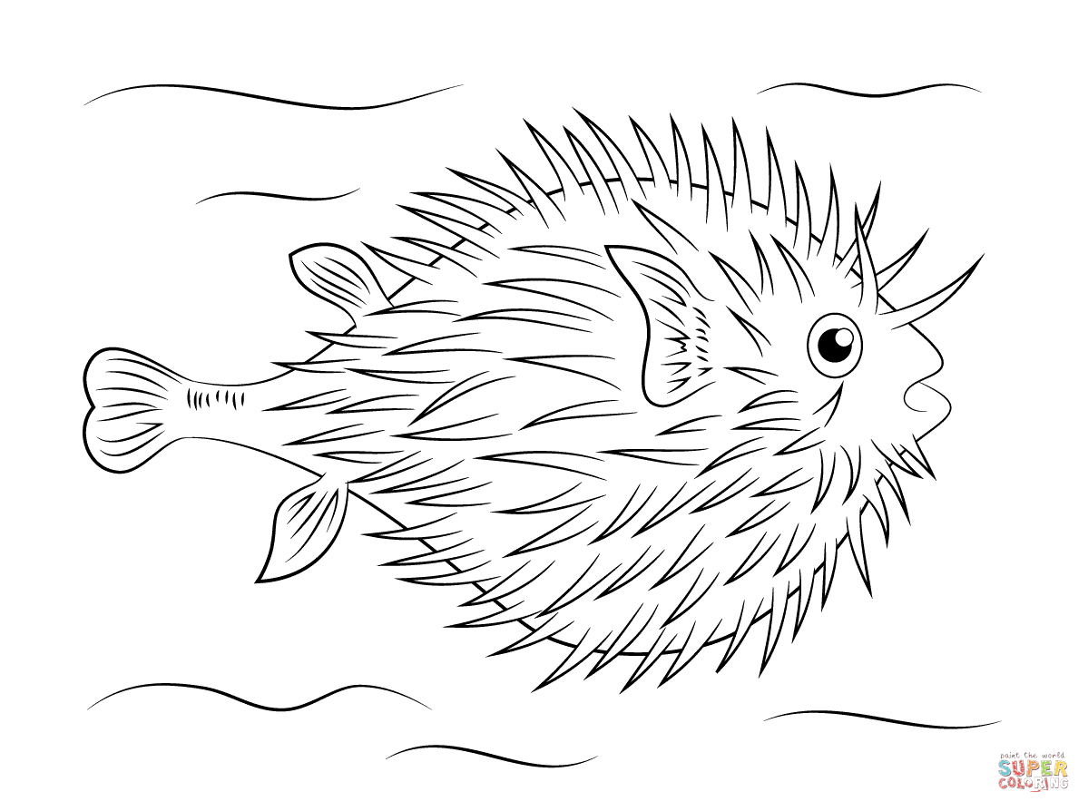 Puffer fish coloring page free printable coloring pages