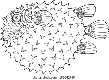 Puffer fish images stock photos d objects vectors