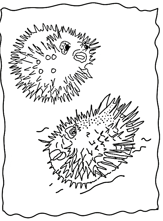 Puffer coloring page