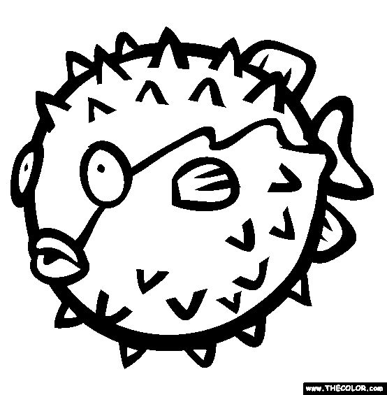 Puffer fish coloring page free puffer fish online coloring fish coloring page online coloring pages coloring pages