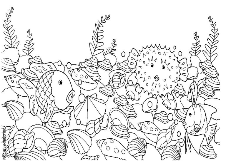 Rainbow fish seashells with pufferfish coloring page