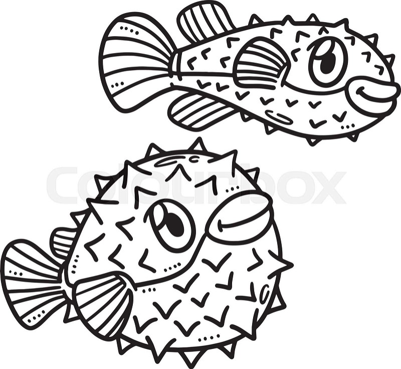 Baby pufferfish isolated coloring page for kids stock vector