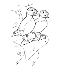 Top puffin coloring pages for toddlers