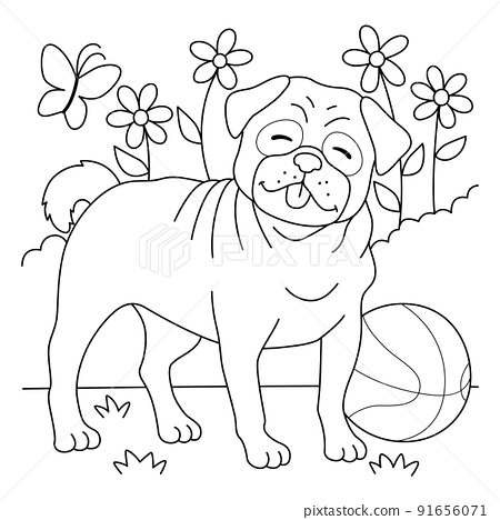 Pug dog coloring page for kids