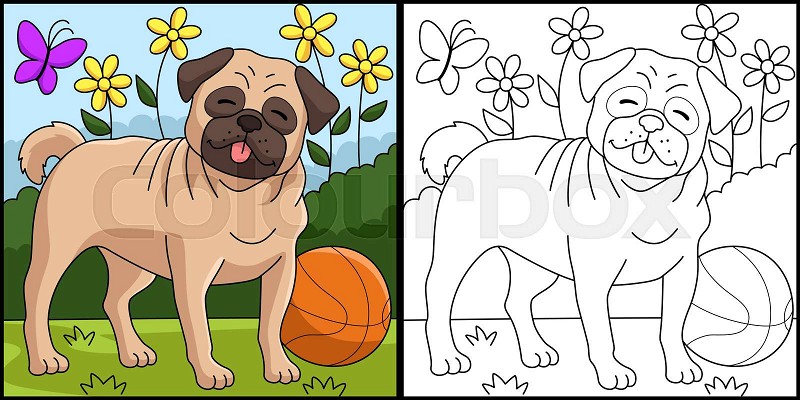 Pug dog coloring page colored illustration stock vector