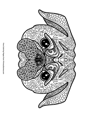 Pug head coloring page â free printable pdf from