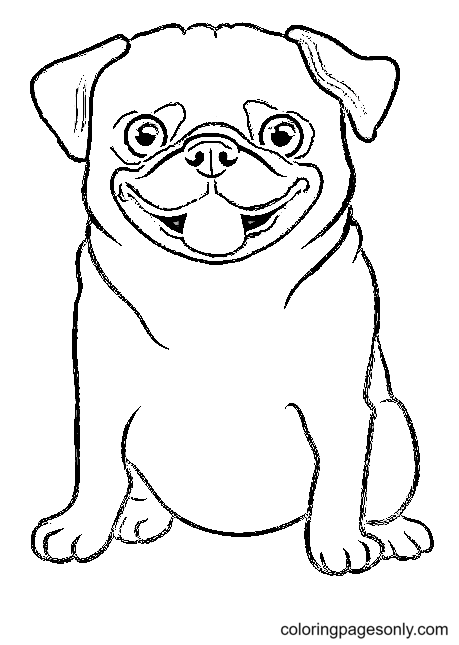 Pug coloring pages printable for free download