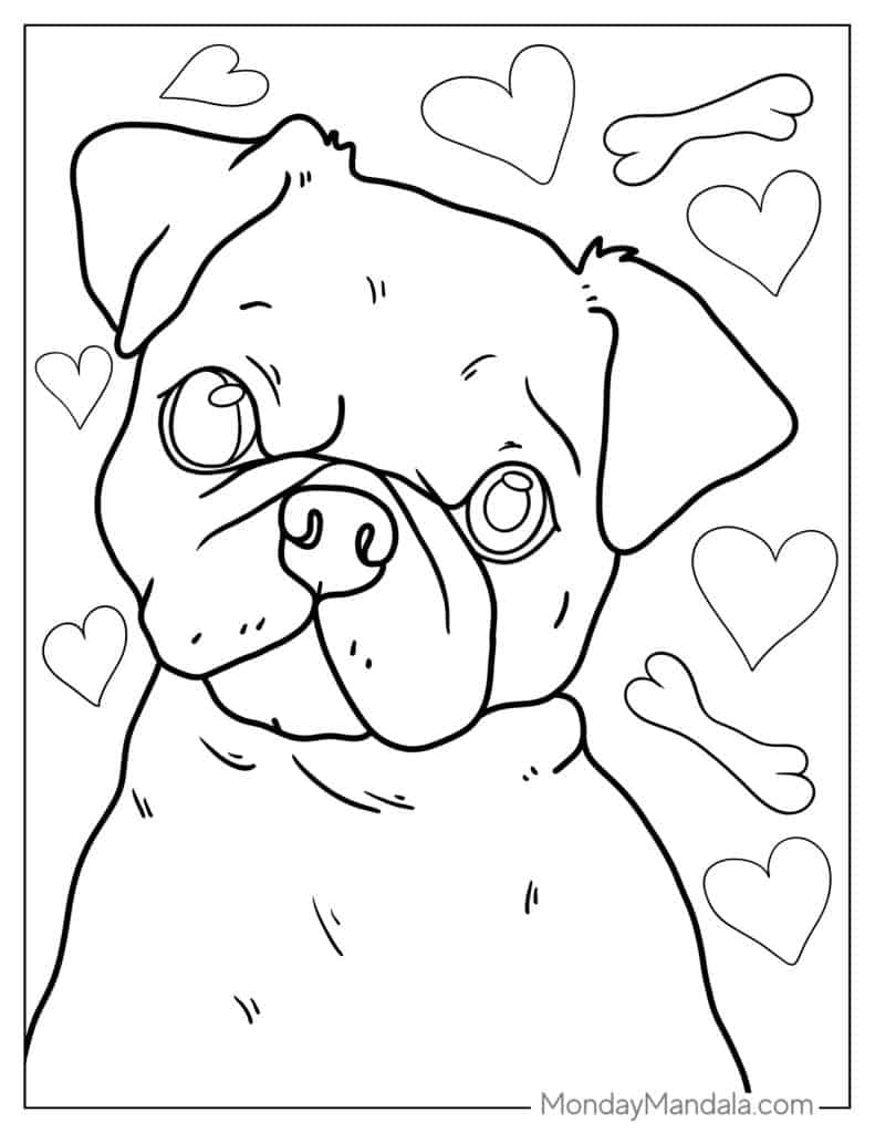Pug coloring pages free pdf printables