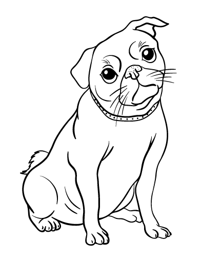 Free pug coloring page