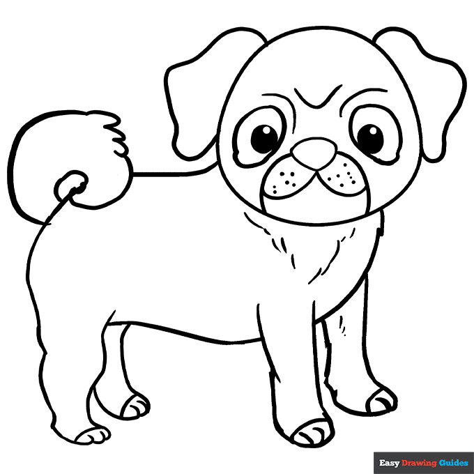 Pug coloring page easy drawing guides