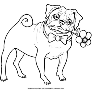 Pug coloring pages printable for free download