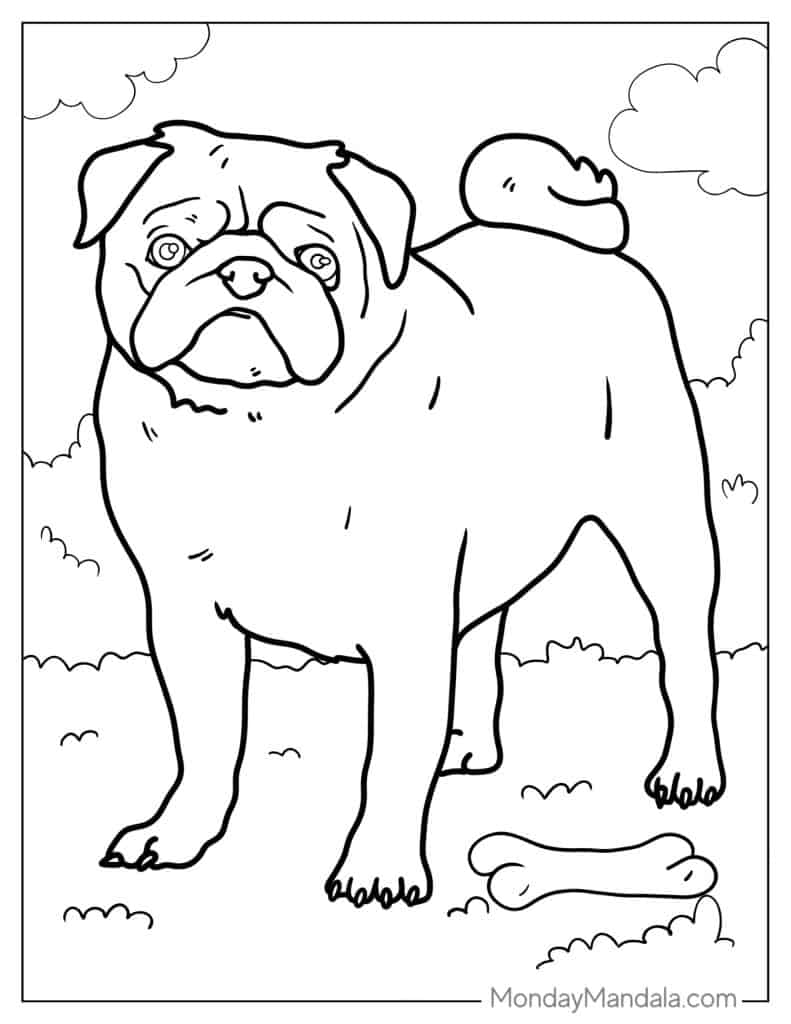 Pug coloring pages free pdf printables