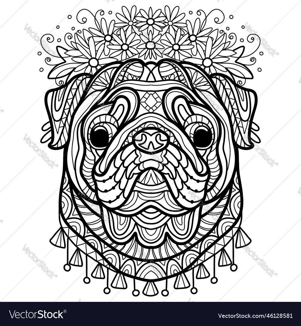 Coloring book page pug dog royalty free vector image