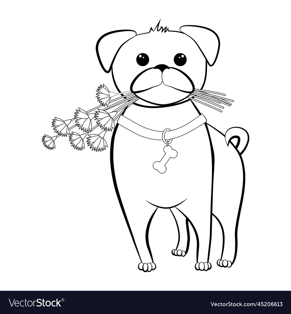 Coloring book dog pug royalty free vector image