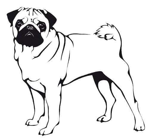 Coloring page mops kunst hunde silhouette malvorlage hund