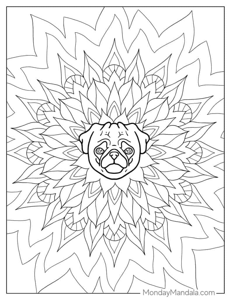 Pug coloring pages free pdf printables