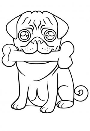 Free printable pug coloring pages for adults and kids