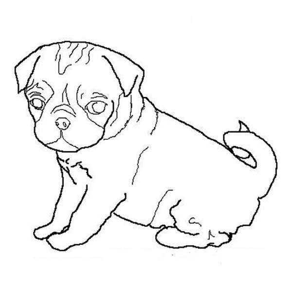 Pug dog outline coloring page dog outline pug dog pugs