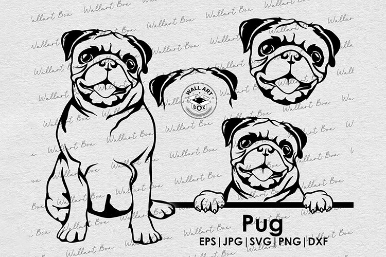 Pug