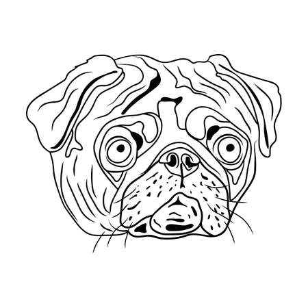 Pug line art stock vector illustration and royalty free pug line art clipart