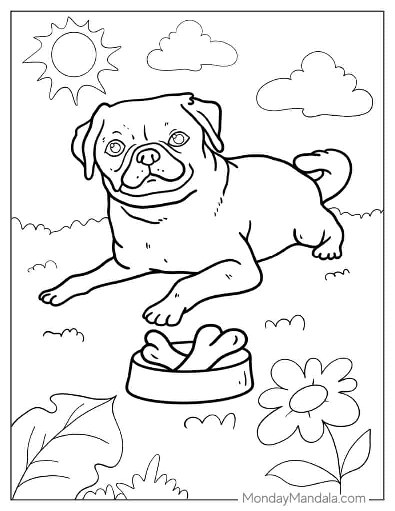 Pug coloring pages free pdf printables