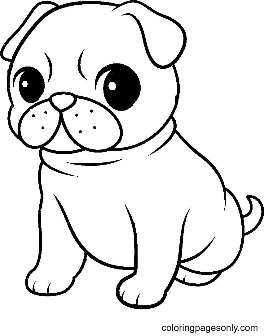 Pug coloring pages