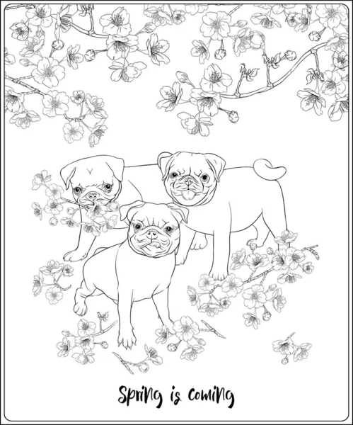 Pug dog illustration vector images