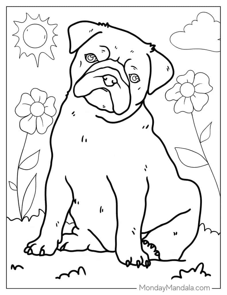 Pug coloring pages free pdf printables