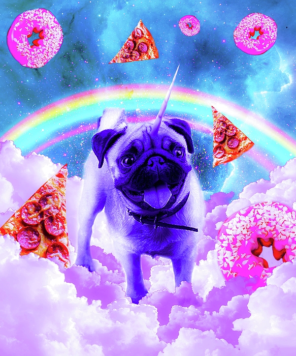 Rainbow unicorn pug in the clouds in space spiral notebook by random galaxy