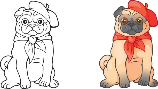 Pug coloring book stock photos pictures royalty