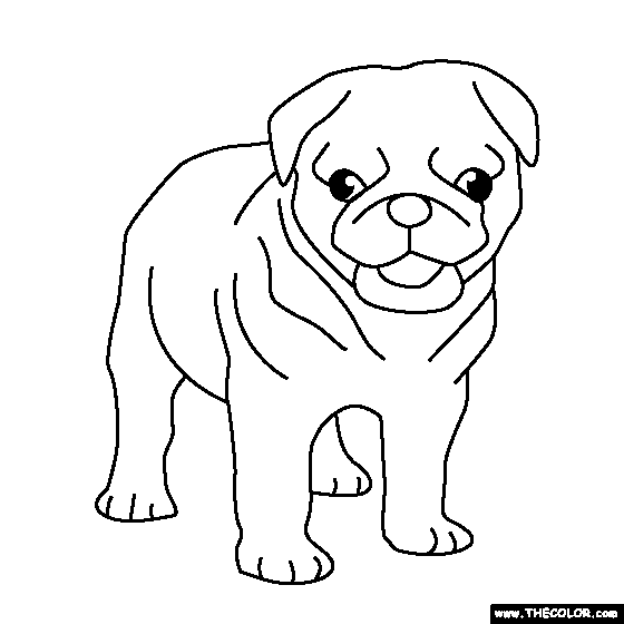 Pug puppy coloring page