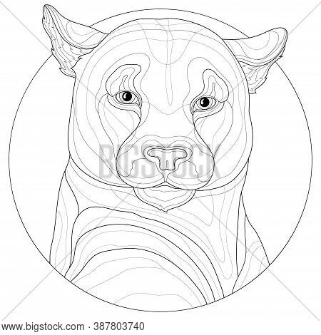 Pumaanimalcoloring vector photo free trial bigstock