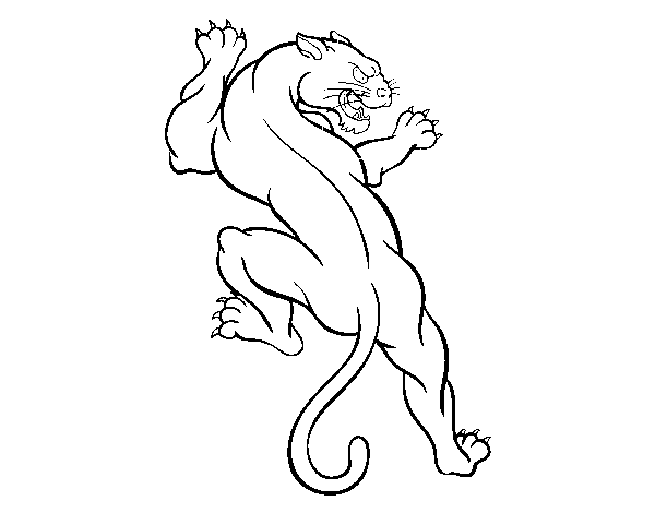 Puma tattoo coloring page