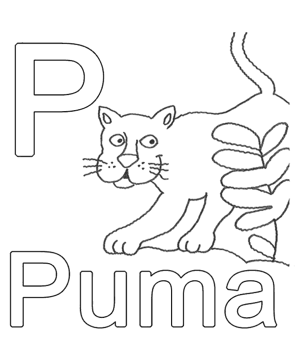 P for puma