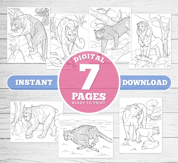 Printable coloring pages for kids big cats unique illustrations instant download digitalpdf lion puma tiger cheetah animals cat instant download