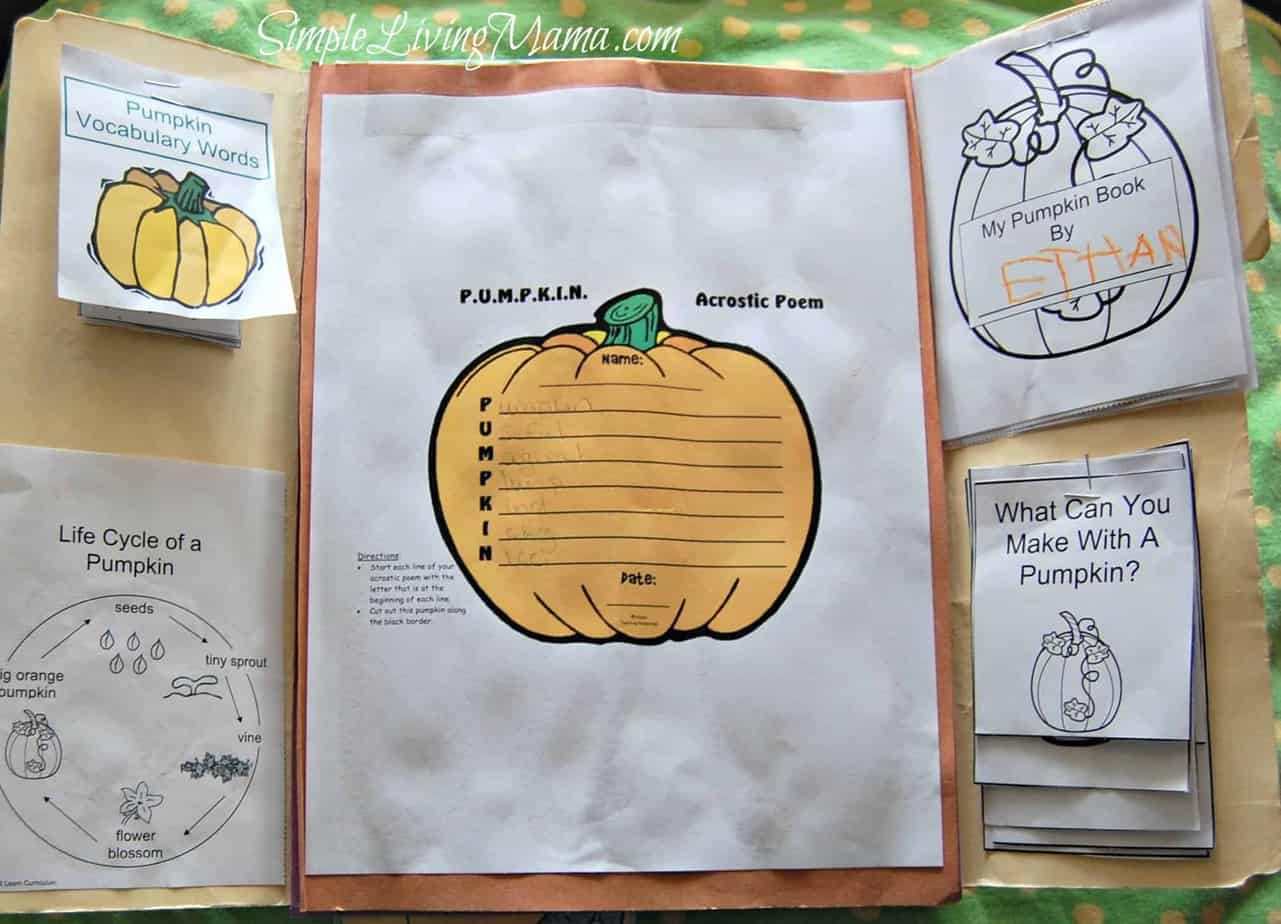 Pumpkin themed lapbook for pre