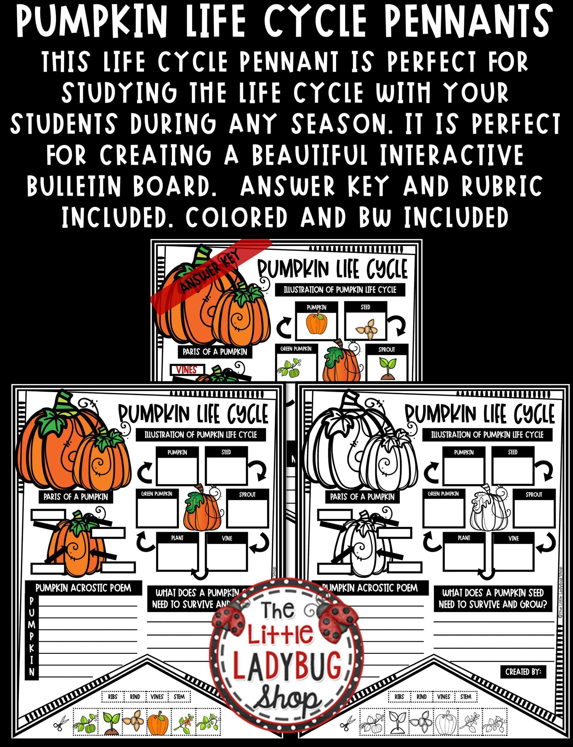 Print digital pumpkin life cycle science fall bulletin board center activity