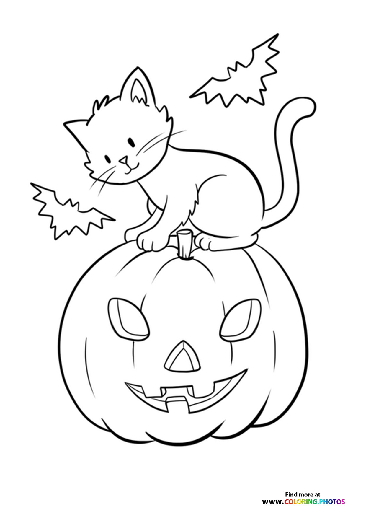 Hallween cat on a pumpkin