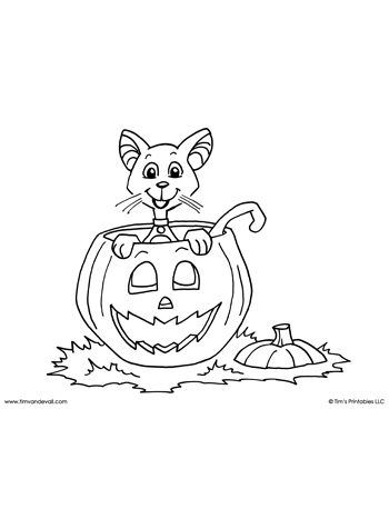 Halloween coloring page â cat and pumpkin â tims printables